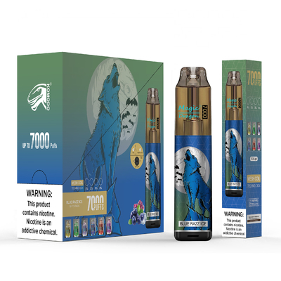 Prix en gros Vape Pen rechargeable 850mAh Vapor à usage unique 7000 bouffées Cigarette électronique