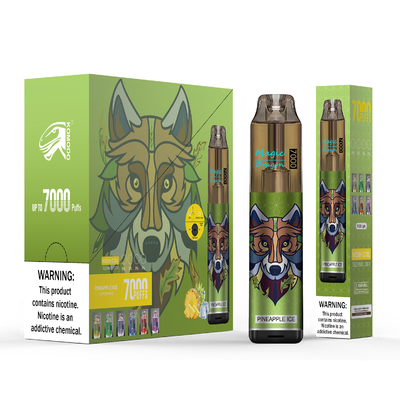 Prix en gros Vape Pen rechargeable 850mAh Vapor à usage unique 7000 bouffées Cigarette électronique