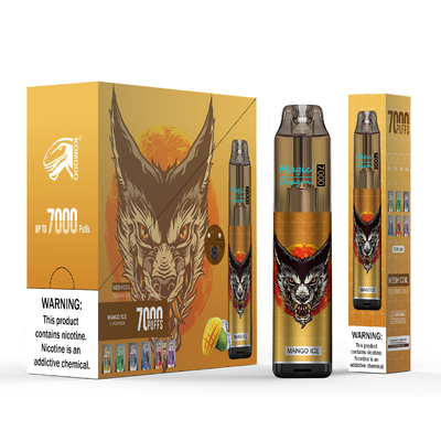 Vape Pod jetable 7000 bouffées stylo rechargeable Vape construit avec bobine de maille