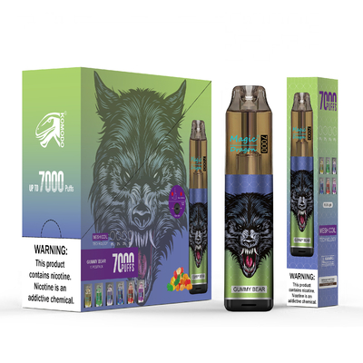 Vape Pod jetable 7000 bouffées stylo rechargeable Vape construit avec bobine de maille