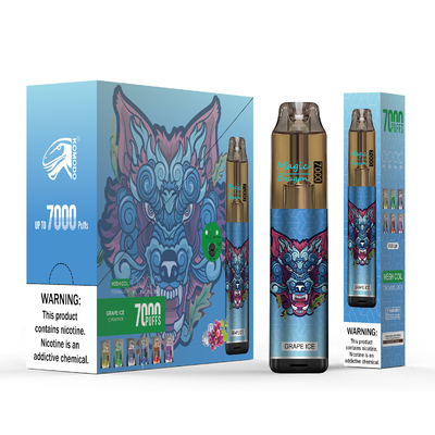 Vape Pod jetable 7000 bouffées stylo rechargeable Vape construit avec bobine de maille