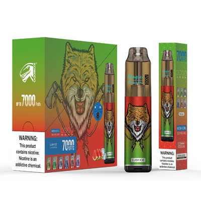 Vape Pod jetable 7000 bouffées stylo rechargeable Vape construit avec bobine de maille