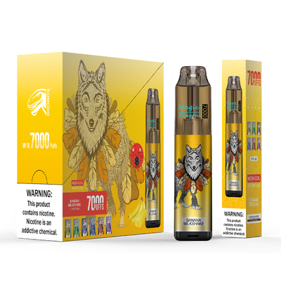 Vape à usage unique 7000 bouffées 850mAh stylo rechargeable Vape cigarette électronique