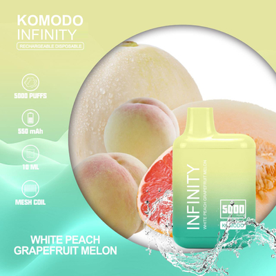Fabrique en gros Cigarette électronique Fruit Flavor Mesh Coil Vape Pen jetable 5000 bouffées